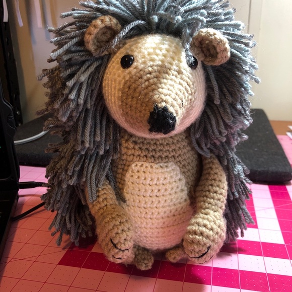 “EDUARDO THE HEDGEHOG “ - Picture 3 of 4
